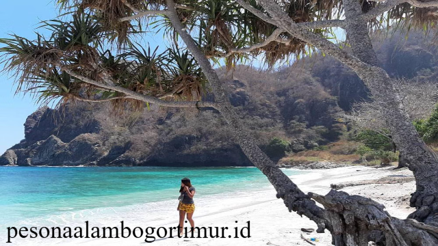 Pantai Lawar: Panorama Eksotis di Lombok Timur