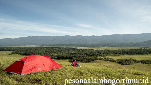 Pesona Lembah Kebar di Tanah Papua